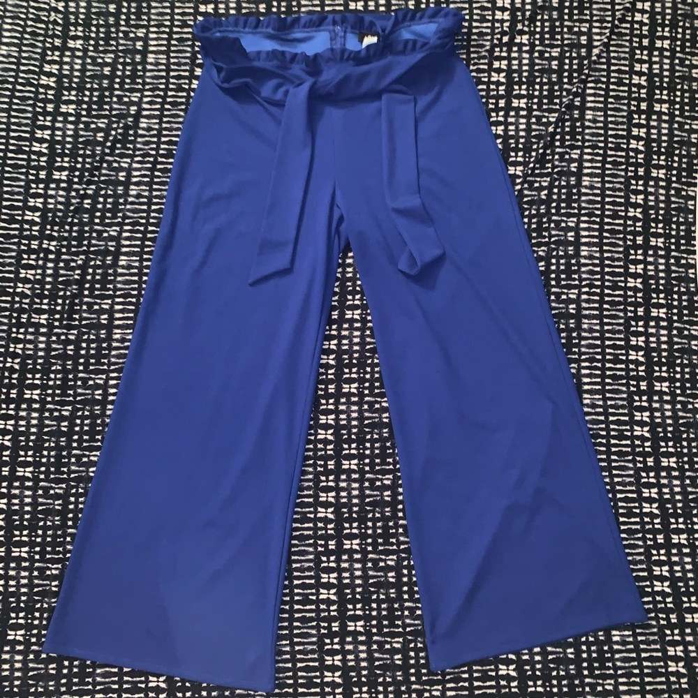 🥳HP🥳 Asoph Wide Leg Belted Pants